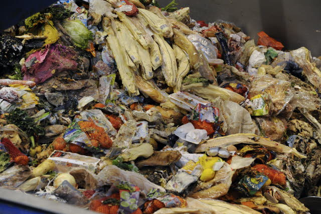 Près de la moitié des aliments sont gaspillés dans le monde